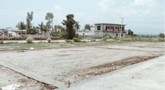 Shergarh-Majri Grant Plot