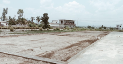 Shergarh-Majri Grant Plot