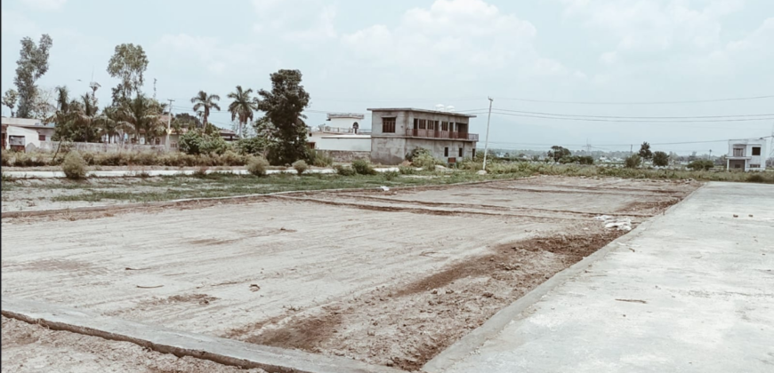 Shergarh-Majri Grant Plot