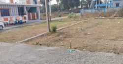 Residential & Investment Plot