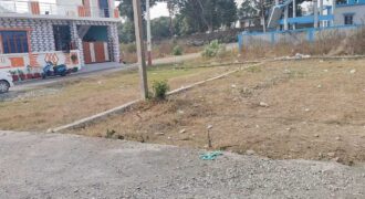 Residential & Investment Plot