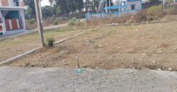 Residential & Investment Plot