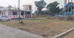 Residential & Investment Plot