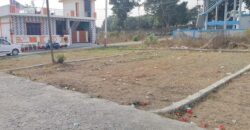 Residential & Investment Plot