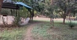 Farm Houe with Agriculture land