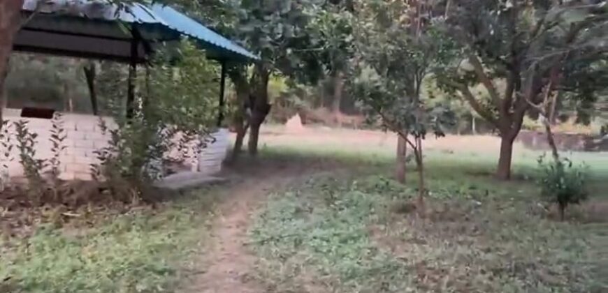 Farm Houe with Agriculture land