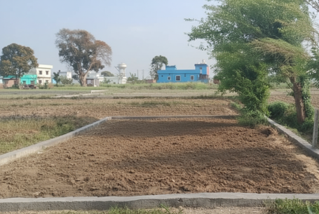 plot in bullawala