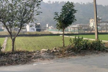 commercial plot shestradara