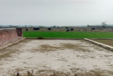 doiwala plot image for sale near ssb camp