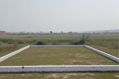 doiwala plot image