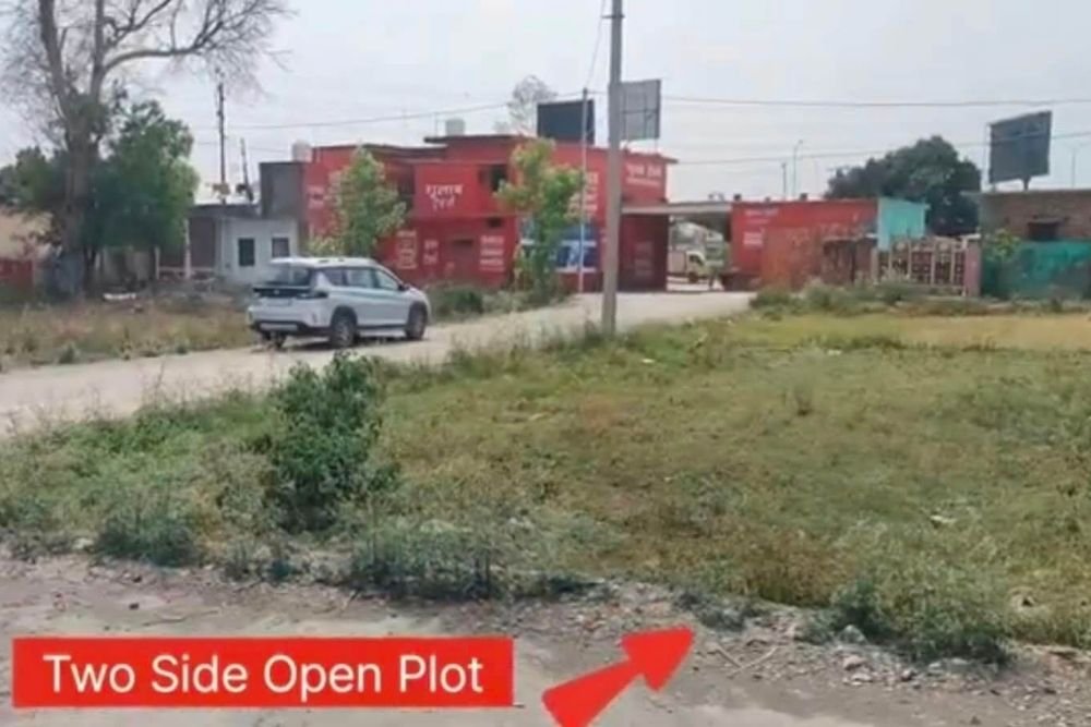 majri grant plot image