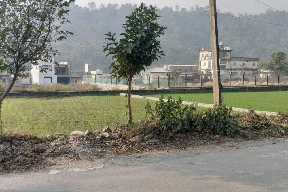 Shetradhara plot image