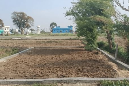 bulawal plot image