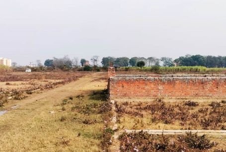 bullaala plot image